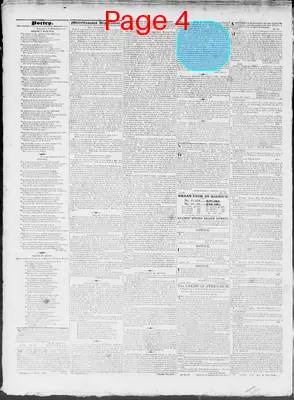 Page thumbnail for Constitutional Whig