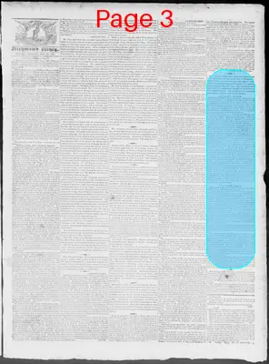 Page thumbnail for Constitutional Whig