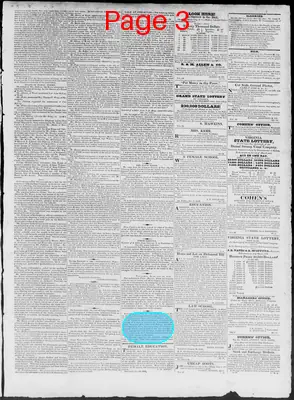 Page thumbnail for Constitutional Whig