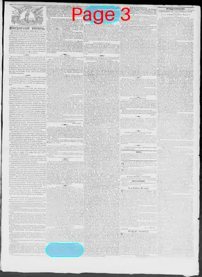 Page thumbnail for Constitutional Whig