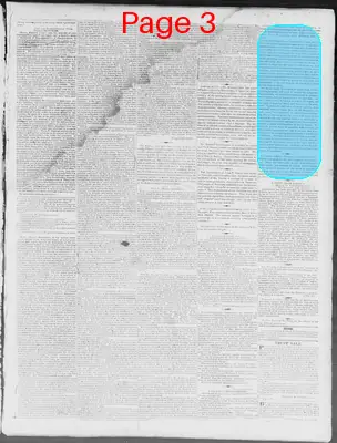 Page thumbnail for Constitutional Whig