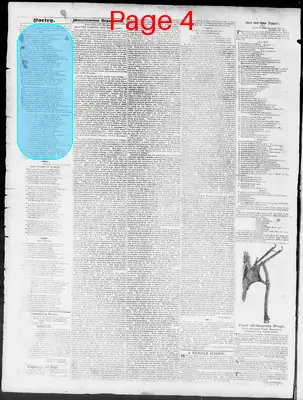 Page thumbnail for Constitutional Whig