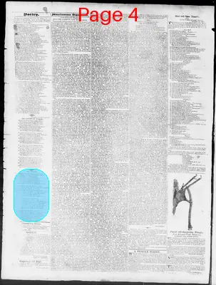 Page thumbnail for Constitutional Whig