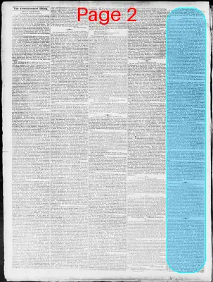 Page thumbnail for Constitutional Whig