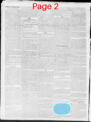 Page thumbnail for Constitutional Whig