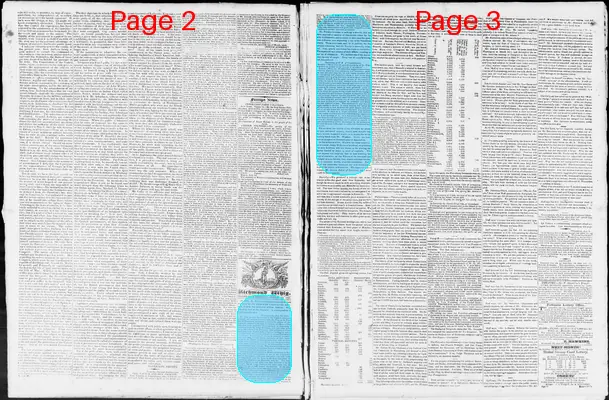 Page thumbnail for Constitutional Whig