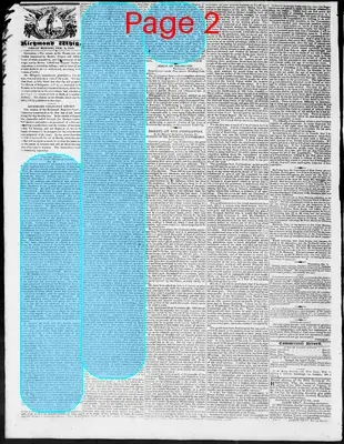 Page thumbnail for Constitutional Whig