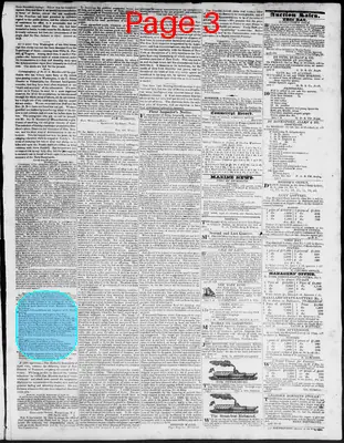 Page thumbnail for Constitutional Whig