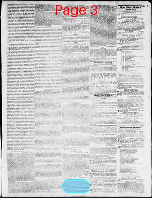 Page thumbnail for Constitutional Whig