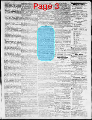 Page thumbnail for Constitutional Whig