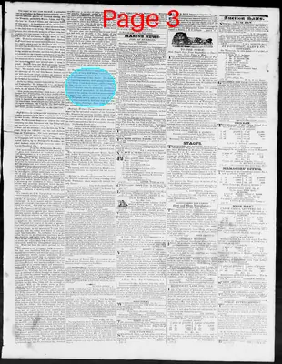 Page thumbnail for Constitutional Whig