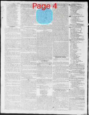 Page thumbnail for Constitutional Whig