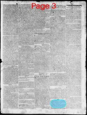 Page thumbnail for Constitutional Whig