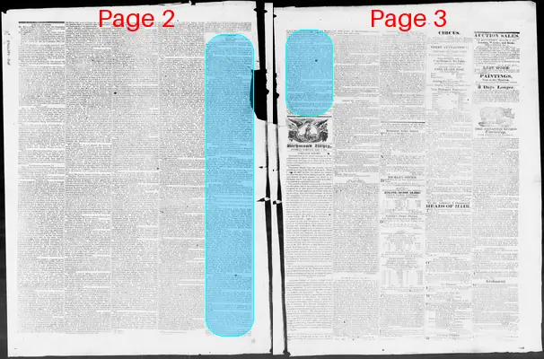 Page thumbnail for Constitutional Whig
