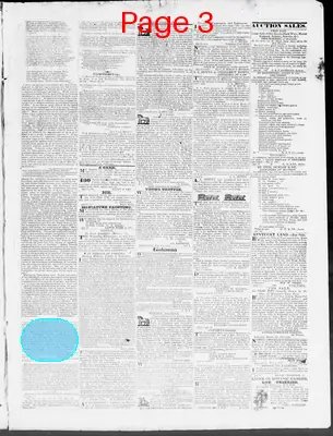 Page thumbnail for Constitutional Whig