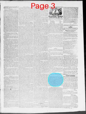 Page thumbnail for Constitutional Whig