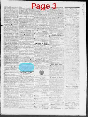 Page thumbnail for Constitutional Whig