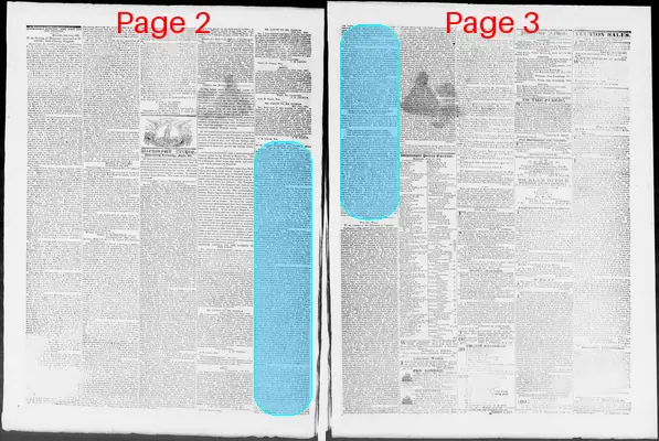 Page thumbnail for Constitutional Whig