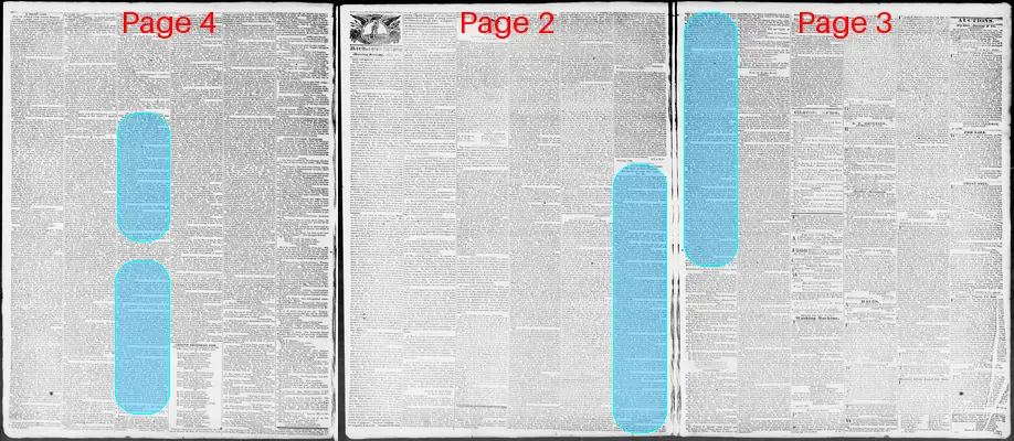 Page thumbnail for Constitutional Whig