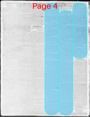 Page thumbnail for Constitutional Whig