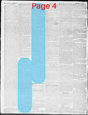 Page thumbnail for Constitutional Whig