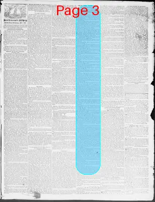 Page thumbnail for Constitutional Whig
