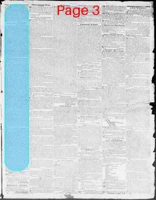 Page thumbnail for Constitutional Whig