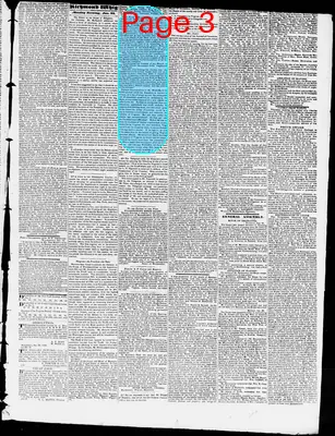 Page thumbnail for Constitutional Whig