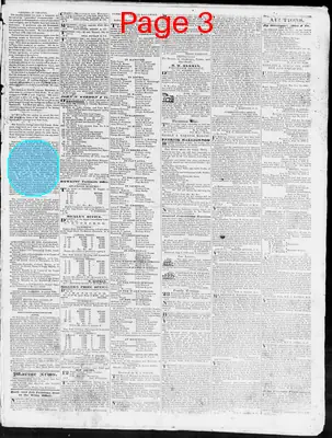 Page thumbnail for Constitutional Whig