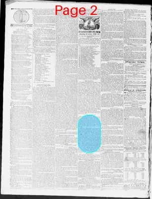 Page thumbnail for Constitutional Whig