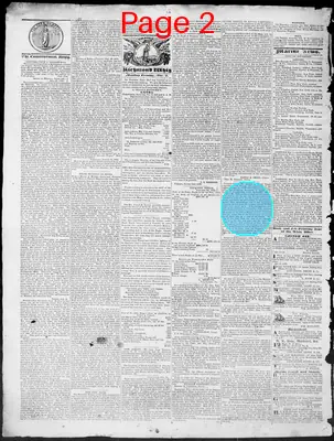 Page thumbnail for Constitutional Whig
