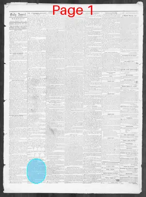 Page thumbnail for Memphis Daily Appeal
