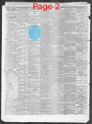 Page thumbnail for Memphis Daily Appeal