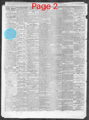 Page thumbnail for Memphis Daily Appeal