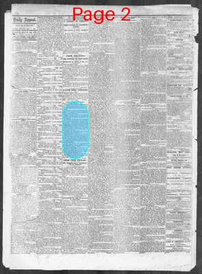 Page thumbnail for Memphis Daily Appeal