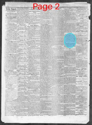 Page thumbnail for Memphis Daily Appeal