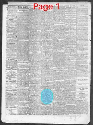 Page thumbnail for Memphis Daily Appeal