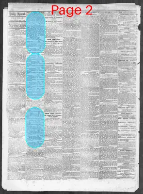 Page thumbnail for Memphis Daily Appeal