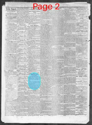 Page thumbnail for Memphis Daily Appeal