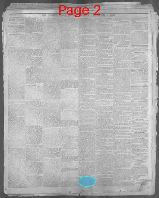 Page thumbnail for Memphis Daily Appeal