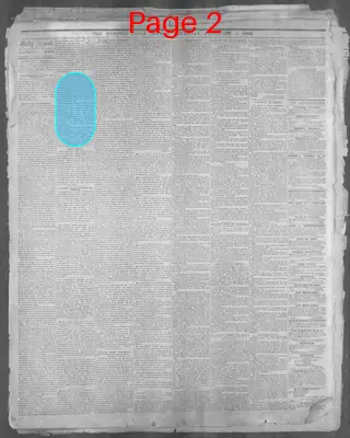 Page thumbnail for Memphis Daily Appeal
