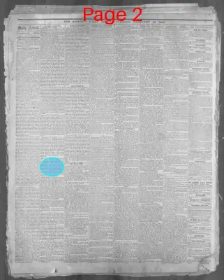 Page thumbnail for Memphis Daily Appeal