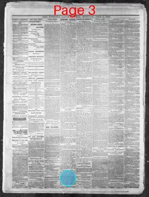 Page thumbnail for Memphis Daily Appeal