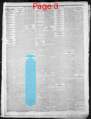 Page thumbnail for Memphis Daily Appeal