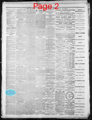 Page thumbnail for Memphis Daily Appeal