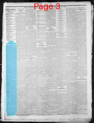 Page thumbnail for Memphis Daily Appeal