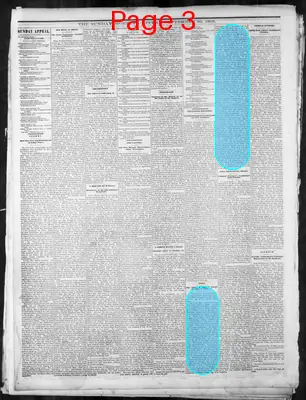 Page thumbnail for Memphis Daily Appeal