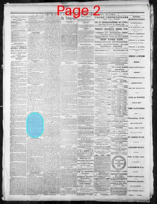Page thumbnail for Memphis Daily Appeal