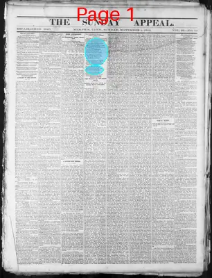Page thumbnail for Memphis Daily Appeal