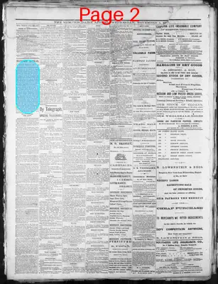 Page thumbnail for Memphis Daily Appeal